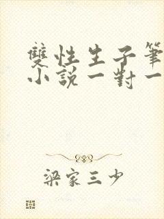 双性生子笔趣阁小说一对一