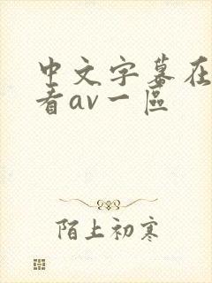 中文字幕在线观看av一区