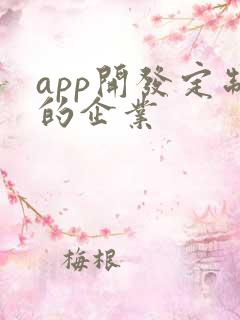 app开发定制的企业