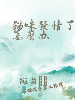 猫咪发情了乱尿怎么办