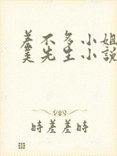 差不多小姐和完美先生小说