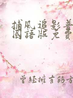 捕风追影普通话国语版免费观看