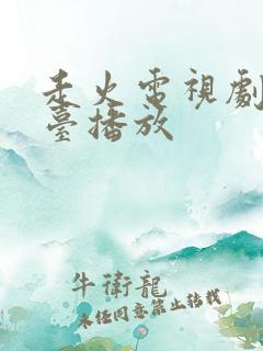 走火电视剧哪个台播放