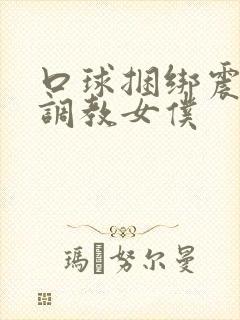 口球捆绑震动器调教女仆