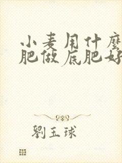 小麦用什么复合肥做底肥好
