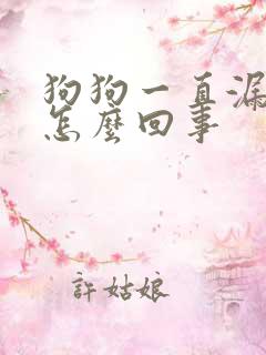 狗狗一直漏尿是怎么回事