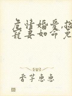 危情婚爱,总裁宠妻如命免费阅读