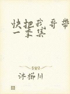快把我哥带走第一季集