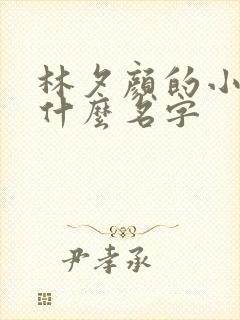 林夕颜的小说叫什么名字 林夕颜的小说叫什么名字