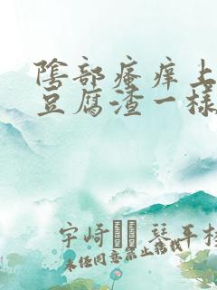 阴部瘙痒上面有豆腐渣一样的东西