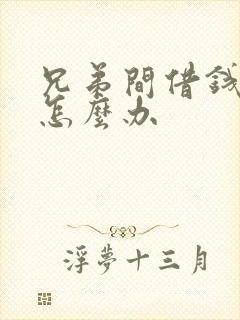 兄弟间借钱不还怎么办