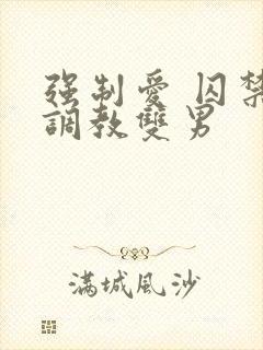 强制爱 囚禁 调教双男
