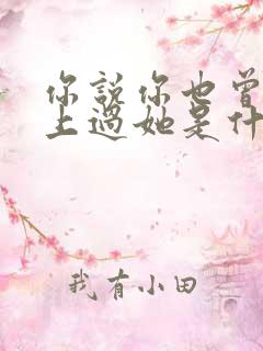 你说你也曾经爱上过她是什么歌曲