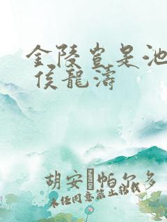 金陵岂是池中物 侯龙涛