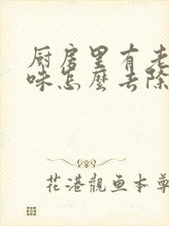 厨房里有老鼠尿味怎么去除