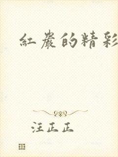 红岩的精彩句段