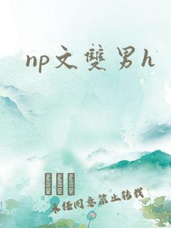 np文双男h