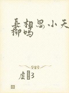 长相思小夭爱相柳吗