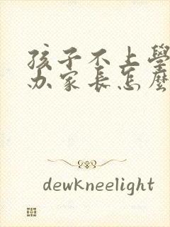 孩子不上学怎么办家长怎么引导