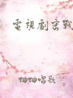 电视剧密战无声
