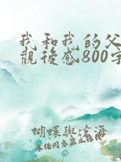 我和我的父辈们观后感800字