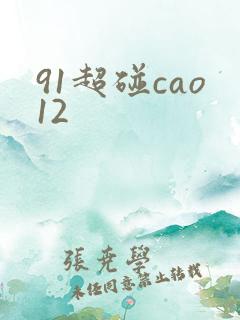 91超碰cao12