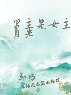 男主是女主的白月光