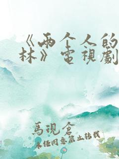《两个人的小森林》电视剧
