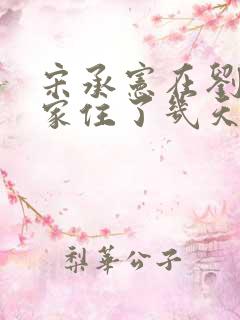 宋承宪在刘亦菲家住了几天
