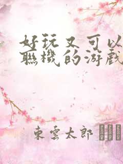 好玩又可以多人联机的游戏