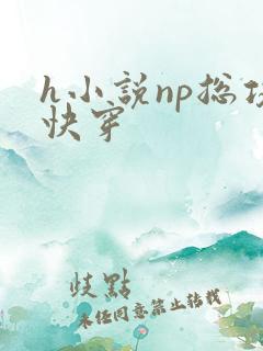h小说np总攻快穿
