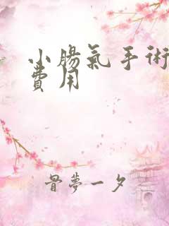 小肠气手术治疗费用