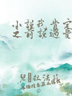 小说我肯定很久之前说过爱你小说
