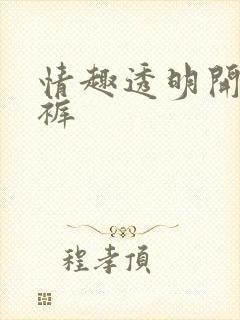 情趣透明开裆内裤