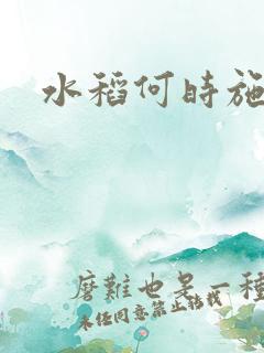 水稻何时施肥