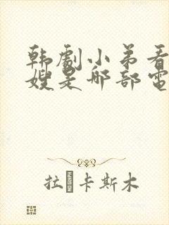 韩剧小弟看上大嫂是哪部电视剧