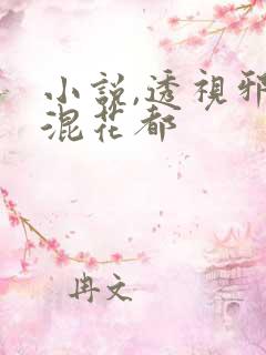 小说,透视邪医混花都