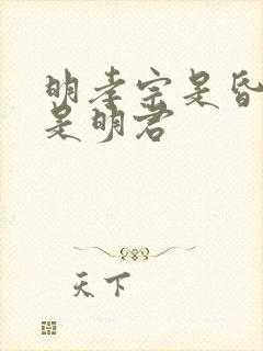 明孝宗是昏君还是明君