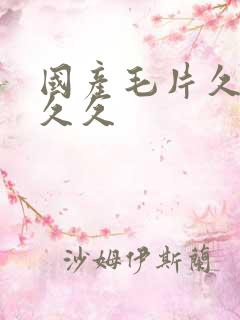 国产毛片久久久久久