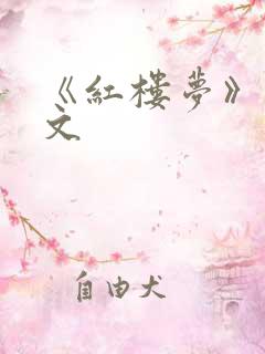 《红楼梦》文言文