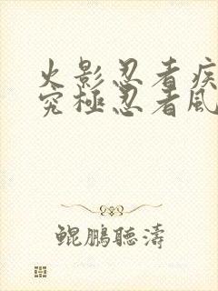 火影忍者疾风传究极忍者风暴4代充