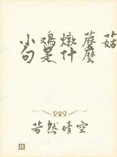 小鸡炖蘑菇前一句是什么