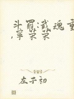 斗罗:武魂重瞳,宁荣荣