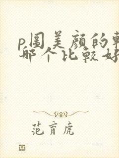 p图美颜的软件哪个比较好用