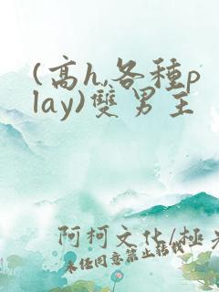 (高h,各种play)双男主