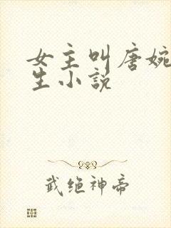 女主叫唐婉的重生小说