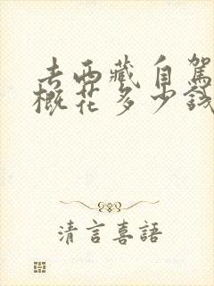 去西藏自驾游大概花多少钱