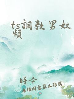 ts调教男奴视频