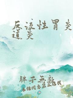 反流性胃炎 食道炎