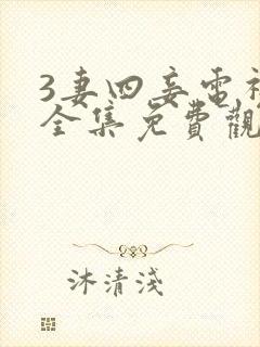 3妻四妾电视剧全集免费观看